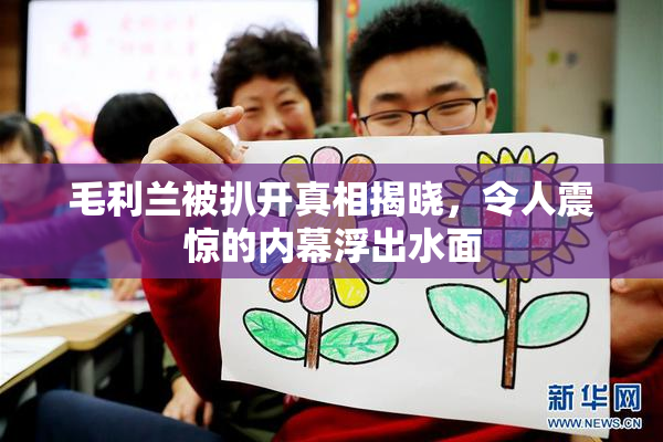 毛利兰被扒开真相揭晓，令人震惊的内幕浮出水面