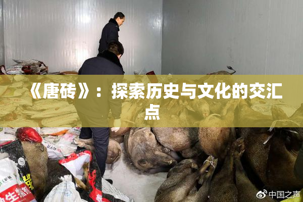 《唐砖》：探索历史与文化的交汇点