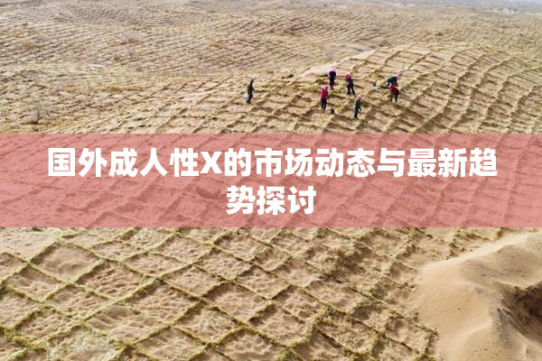 国外成人性X的市场动态与最新趋势探讨