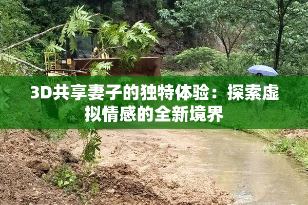3D共享妻子的独特体验：探索虚拟情感的全新境界