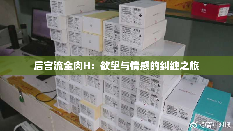 后宫流全肉H：欲望与情感的纠缠之旅