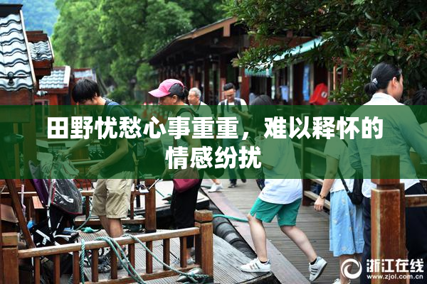 田野忧愁心事重重，难以释怀的情感纷扰