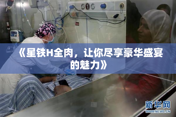 《星铁H全肉，让你尽享豪华盛宴的魅力》