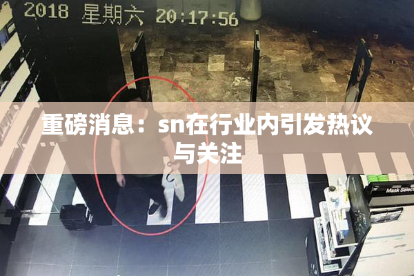 重磅消息：sn在行业内引发热议与关注