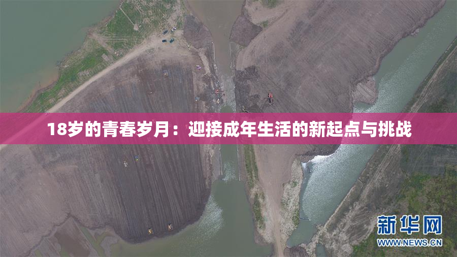 18岁的青春岁月：迎接成年生活的新起点与挑战