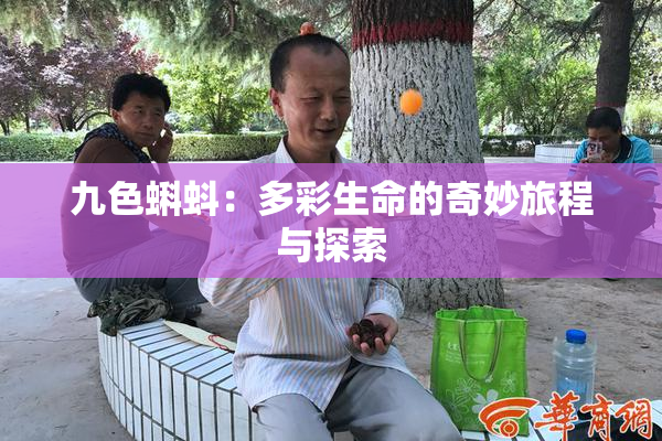 九色蝌蚪：多彩生命的奇妙旅程与探索
