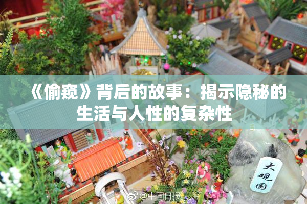 《偷窥》背后的故事：揭示隐秘的生活与人性的复杂性