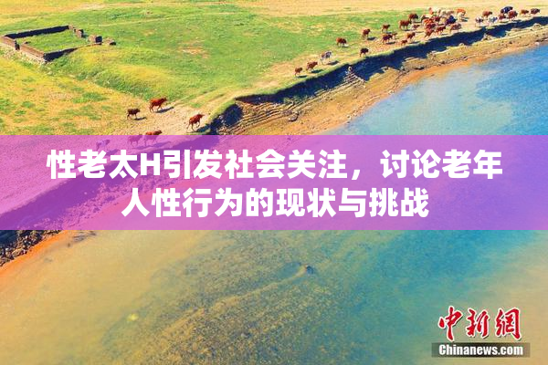 性老太H引发社会关注，讨论老年人性行为的现状与挑战