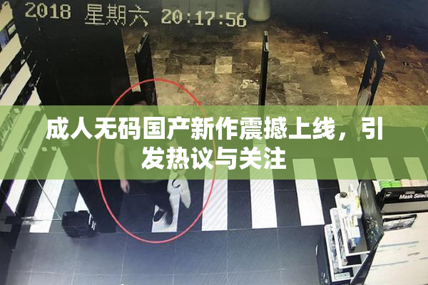 成人无码国产新作震撼上线，引发热议与关注
