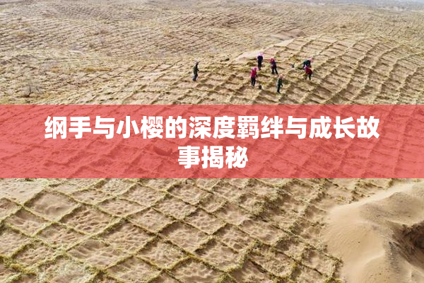 纲手与小樱的深度羁绊与成长故事揭秘