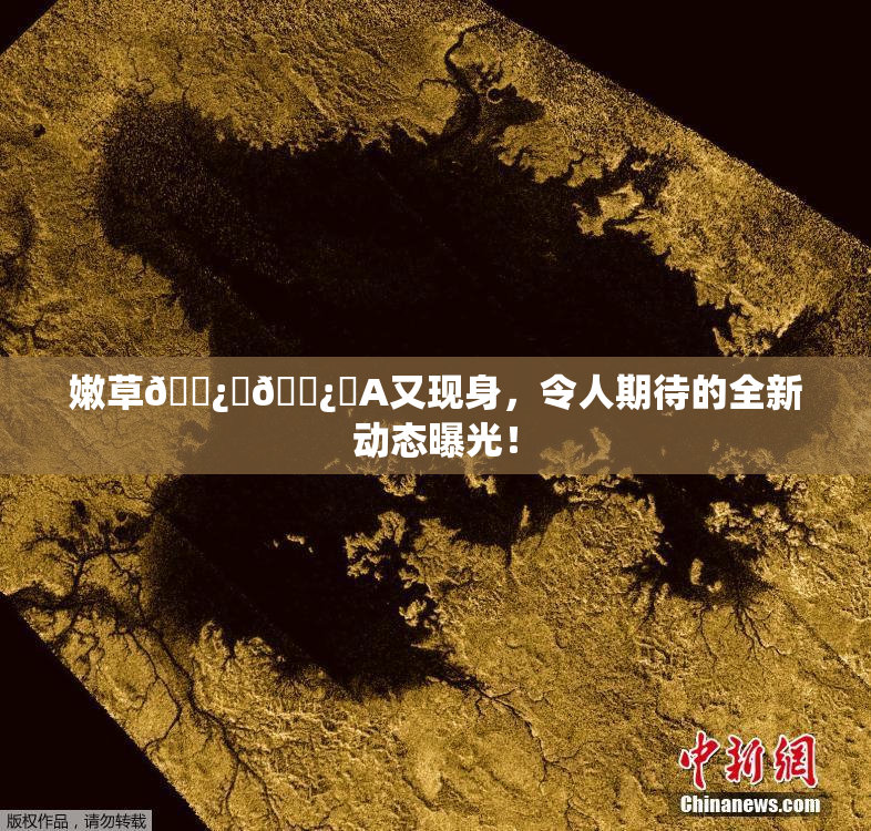 嫩草🌿‌🌿‌A又现身，令人期待的全新动态曝光！