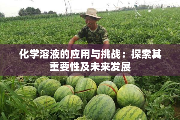 化学溶液的应用与挑战：探索其重要性及未来发展