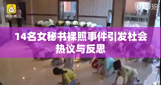 14名女秘书裸照事件引发社会热议与反思