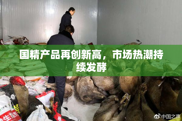 国精产品再创新高，市场热潮持续发酵