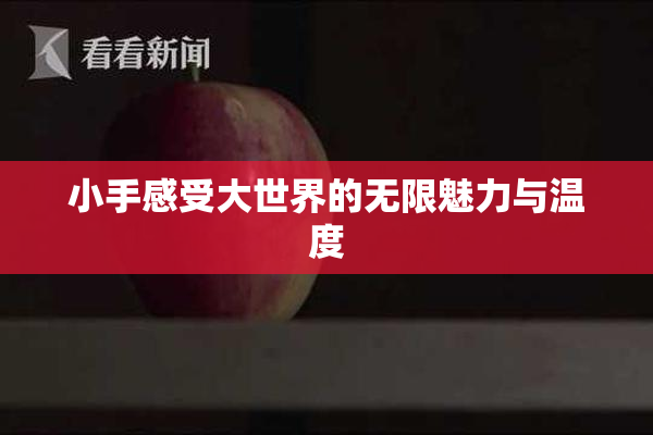 小手感受大世界的无限魅力与温度