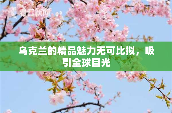 乌克兰的精品魅力无可比拟，吸引全球目光