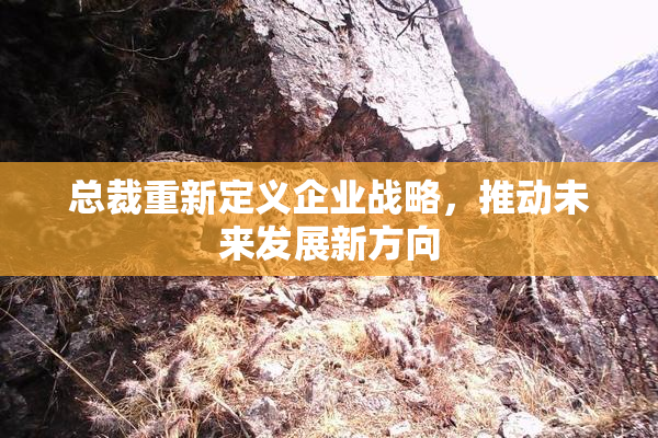 总裁重新定义企业战略，推动未来发展新方向