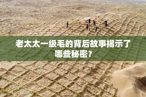老太太一级毛的背后故事揭示了哪些秘密？