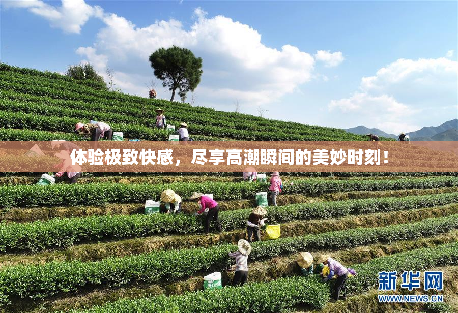 体验极致快感，尽享高潮瞬间的美妙时刻！