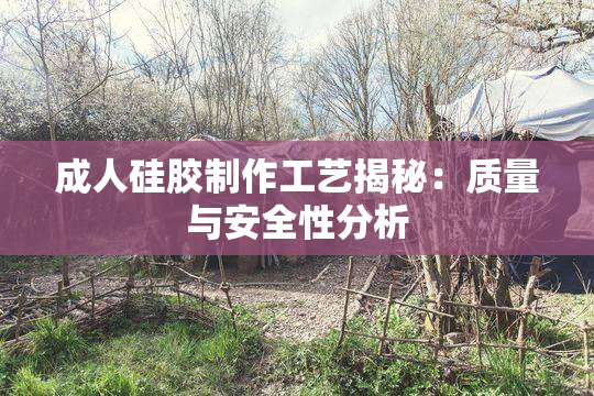 成人硅胶制作工艺揭秘：质量与安全性分析