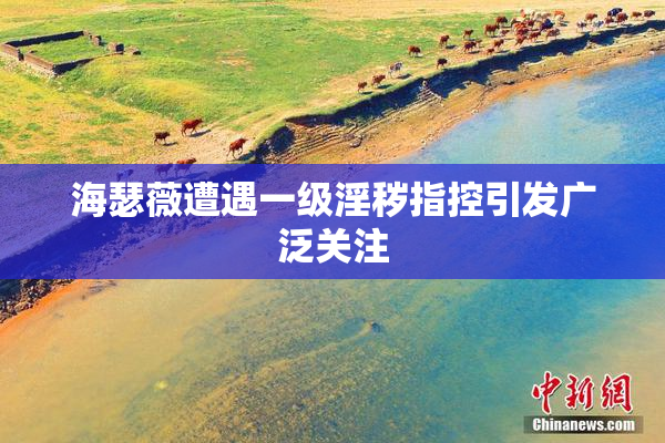 海瑟薇遭遇一级淫秽指控引发广泛关注