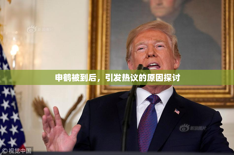 申鹤被到后，引发热议的原因探讨