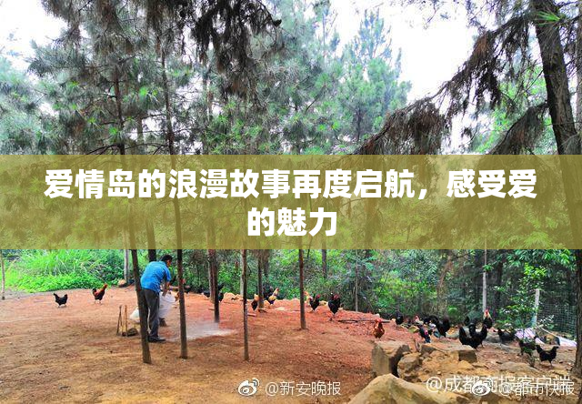 爱情岛的浪漫故事再度启航，感受爱的魅力