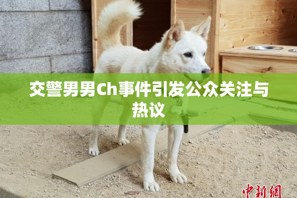 交警男男Ch事件引发公众关注与热议