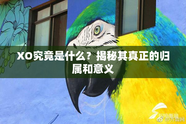 XO究竟是什么？揭秘其真正的归属和意义