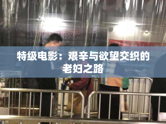 特级电影：艰辛与欲望交织的老妇之路