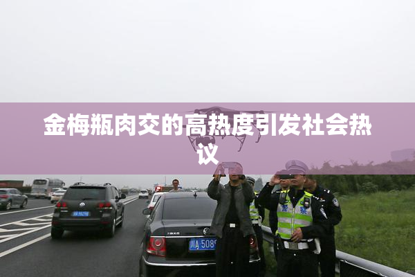 金梅瓶肉交的高热度引发社会热议