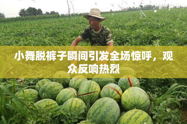 小舞脱裤子瞬间引发全场惊呼，观众反响热烈