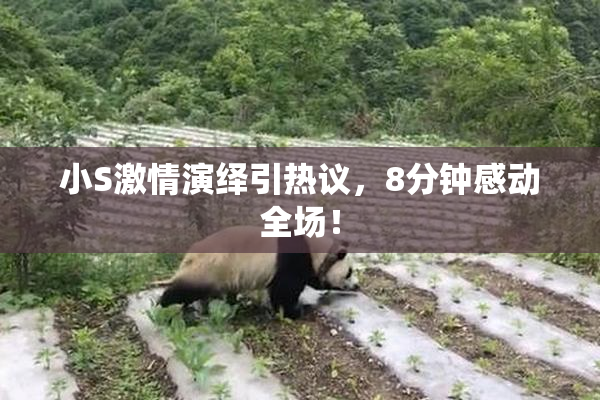小S激情演绎引热议，8分钟感动全场！