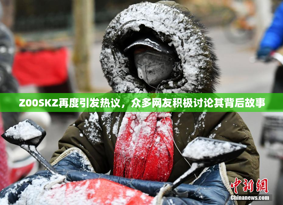 Z00SKZ再度引发热议，众多网友积极讨论其背后故事