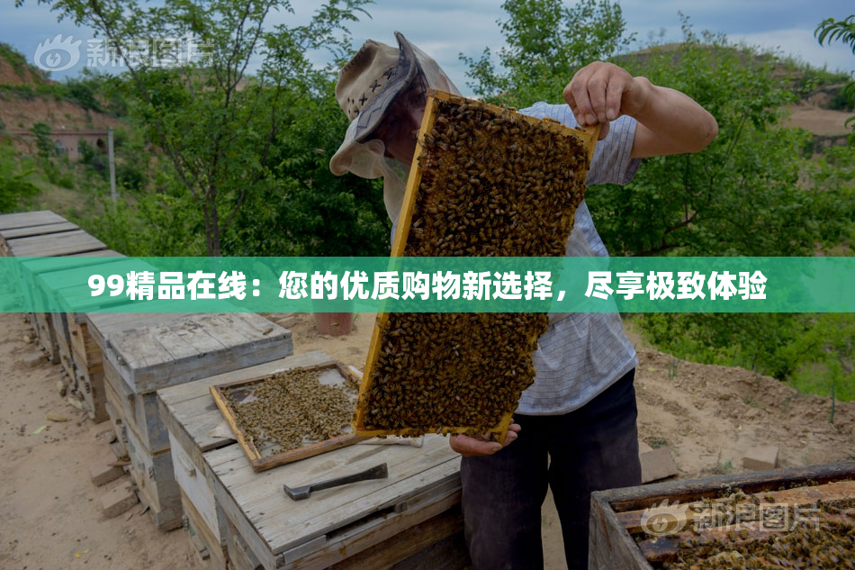 99精品在线：您的优质购物新选择，尽享极致体验