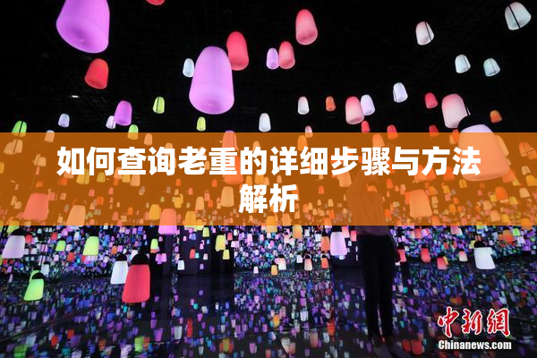 如何查询老重的详细步骤与方法解析
