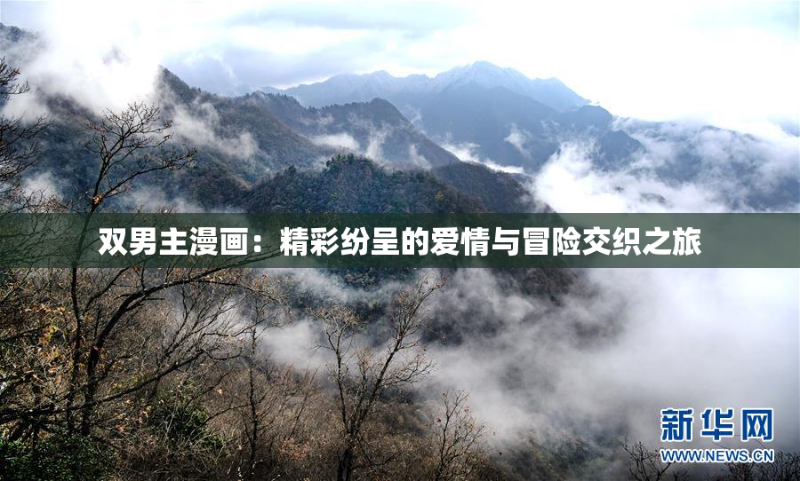 双男主漫画：精彩纷呈的爱情与冒险交织之旅