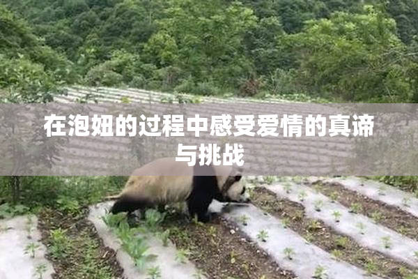 在泡妞的过程中感受爱情的真谛与挑战