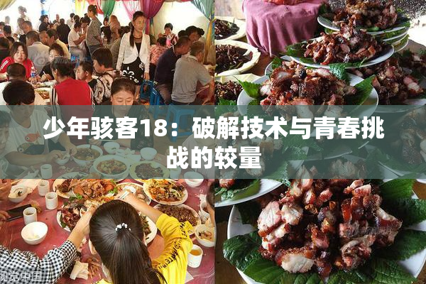 少年骇客18：破解技术与青春挑战的较量