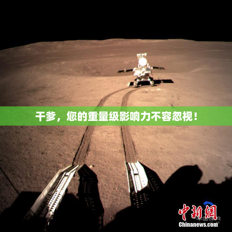 干爹，您的重量级影响力不容忽视！