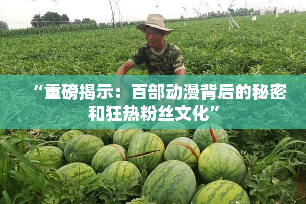 “重磅揭示：百部动漫背后的秘密和狂热粉丝文化”