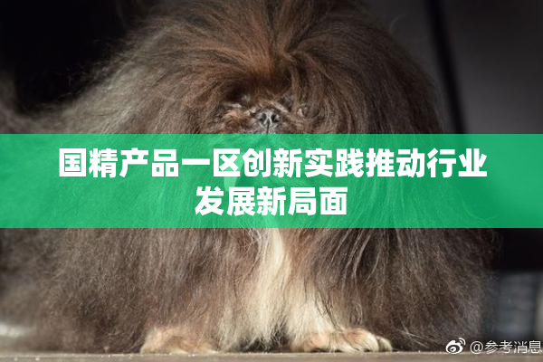国精产品一区创新实践推动行业发展新局面