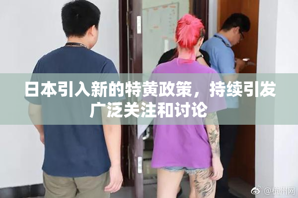 日本引入新的特黄政策，持续引发广泛关注和讨论