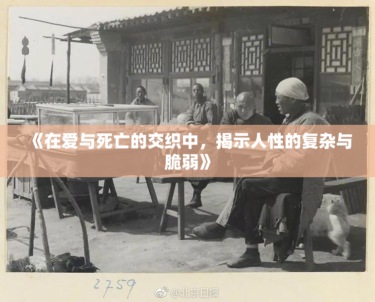 《在爱与死亡的交织中，揭示人性的复杂与脆弱》
