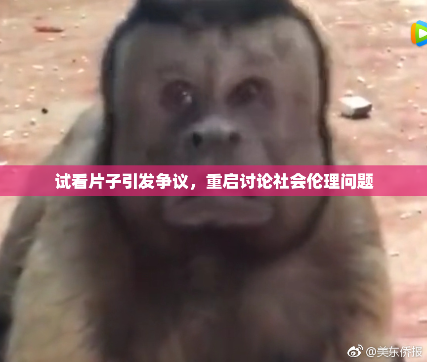试看片子引发争议，重启讨论社会伦理问题