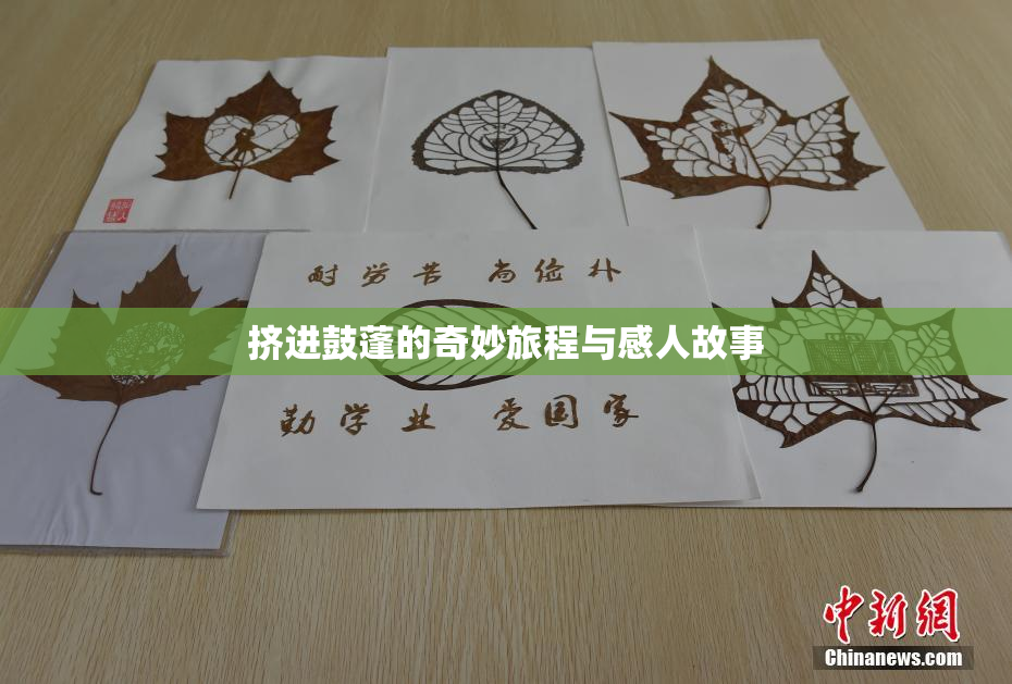 挤进鼓蓬的奇妙旅程与感人故事
