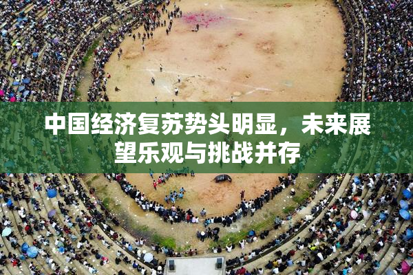 中国经济复苏势头明显，未来展望乐观与挑战并存