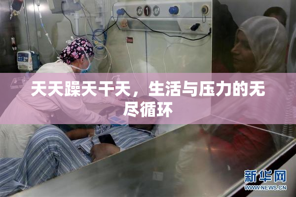 天天躁天干天，生活与压力的无尽循环