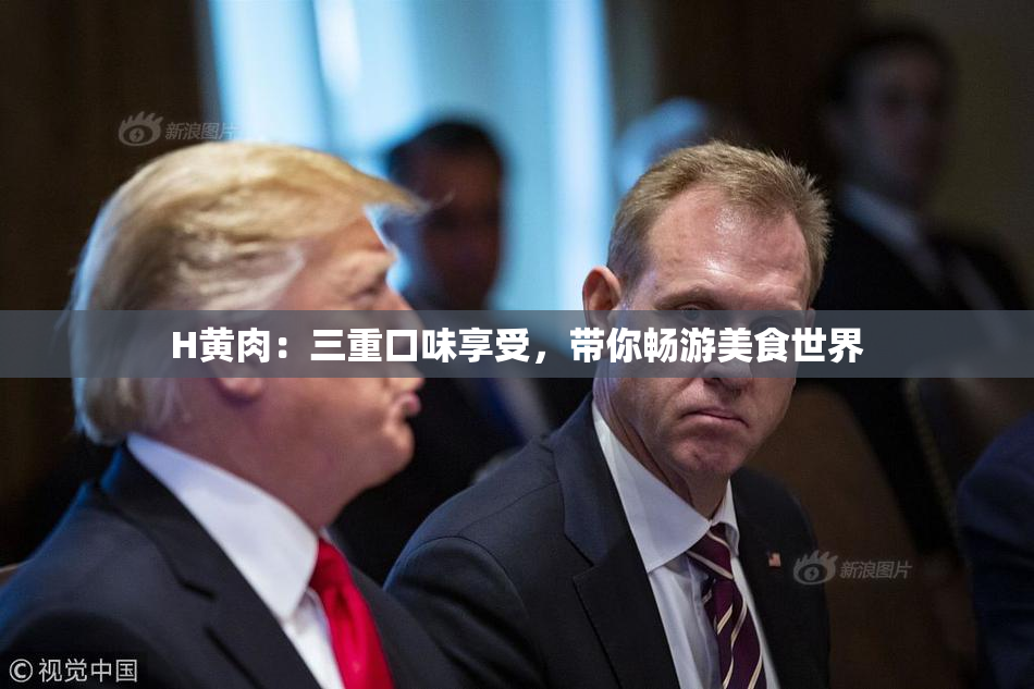 H黄肉：三重口味享受，带你畅游美食世界