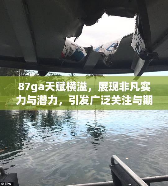 87ga天赋横溢，展现非凡实力与潜力，引发广泛关注与期待